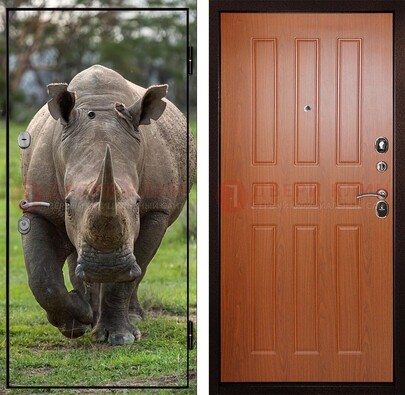 Металлическая дверь с фотопечатью носорога ДФ-31 в Луховицах