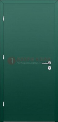 Зеленая стальная дверь с нитроэмалью ДН-6 в Луховицах