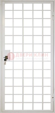 Белая металлическая решетчатая дверь ДР-2 в Луховицах