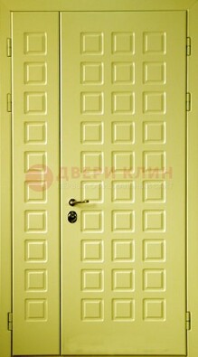 Салатовая тамбурная дверь ДТМ-28 в Луховицах
